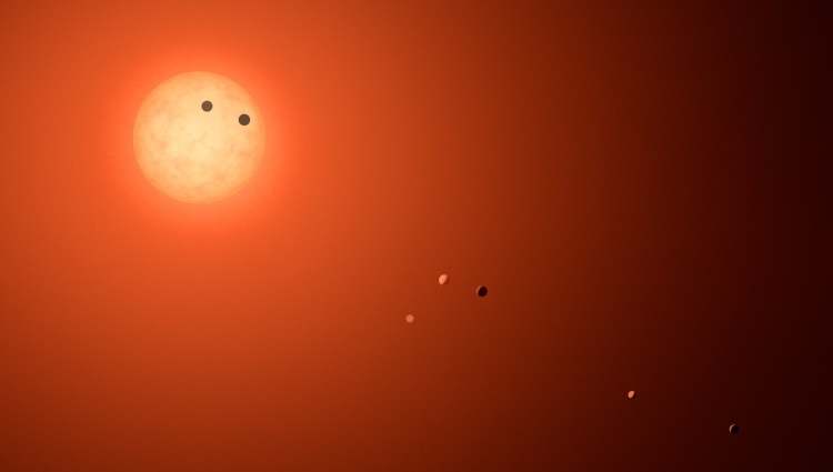 An artist impression of Trappist-1